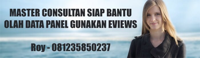 Jasa Olah Data Panel Eviews di Klaten